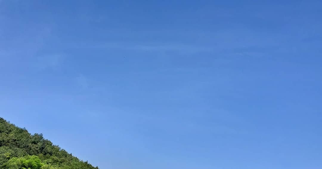 découvrez air algérie, la compagnie aérienne nationale offrant des vols réguliers vers de nombreuses destinations à travers le monde avec confort et sécurité.