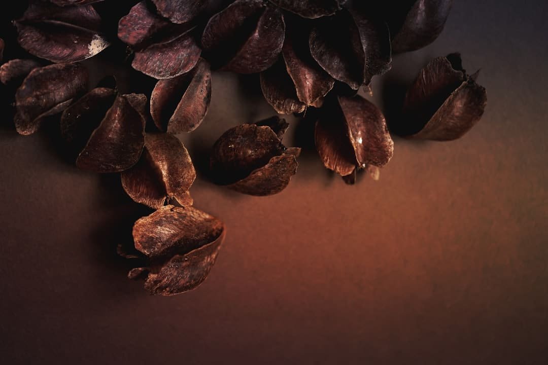 découvrez le chocolat algérien : une délicieuse fusion de saveurs authentiques et de tradition artisanale, pour un plaisir unique à chaque dégustation.