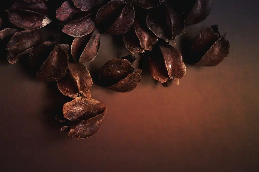 découvrez le chocolat algérien : une délicieuse fusion de saveurs authentiques et de tradition artisanale, pour un plaisir unique à chaque dégustation.