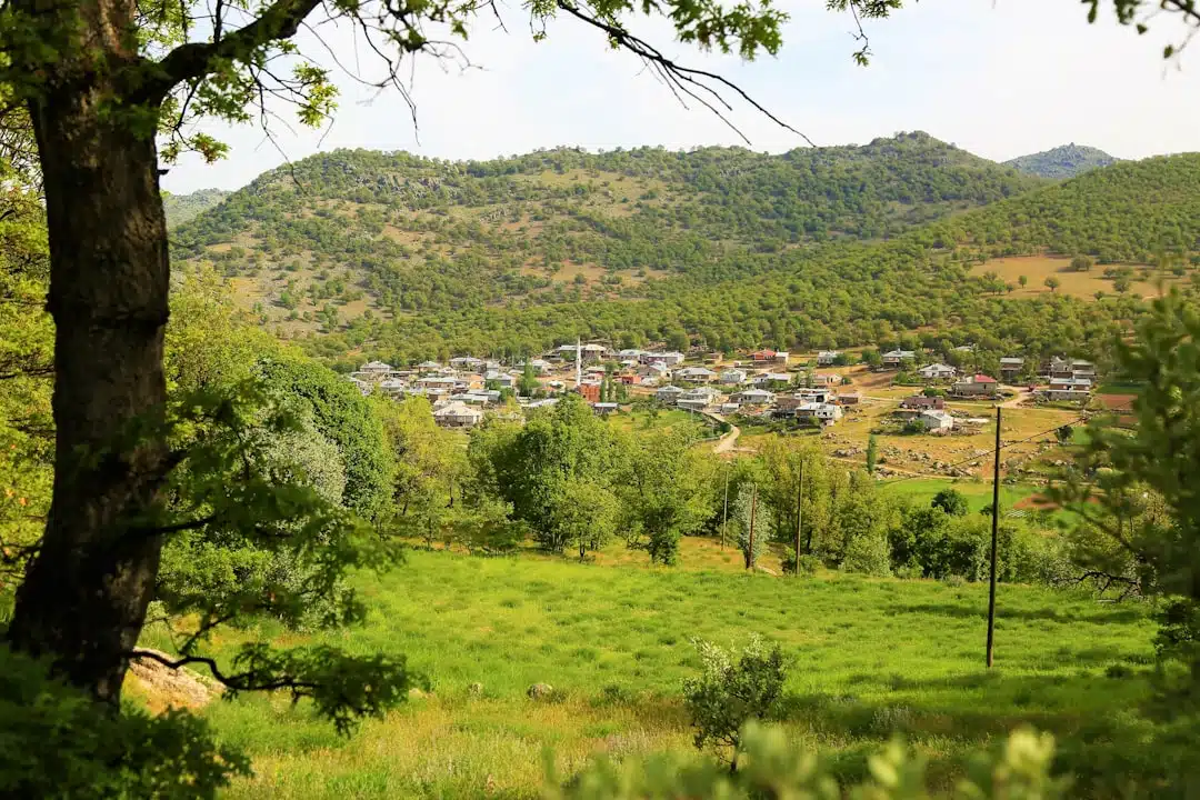 découvrez la kabylie, une région riche en culture, paysages magnifiques et traditions ancestrales au cœur de l'algérie.