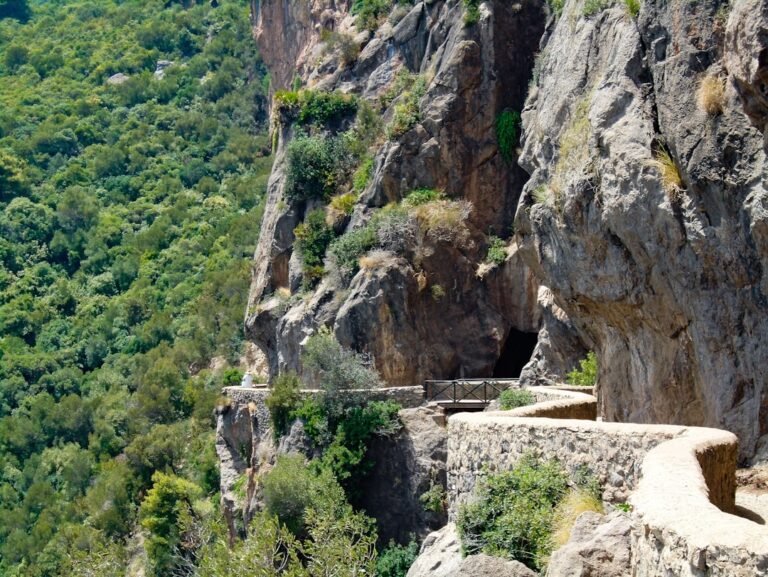 découvrez l'algérie, destination touristique riche en histoire, paysages variés et culture authentique. explorez ses sites emblématiques et vivez une expérience inoubliable.