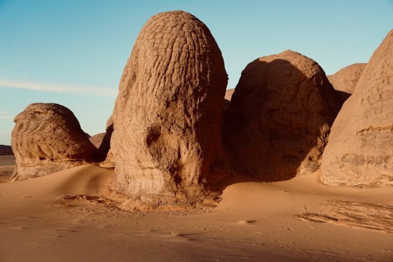 découvrez la richesse culturelle et la diversité des femmes algériennes, leur histoire, leurs traditions et leur rôle dans la société moderne.