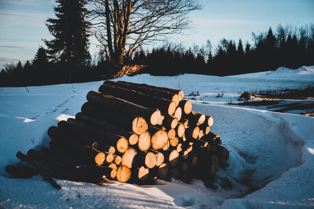 découvrez les causes et les solutions à la pénurie de bûches de noël cette saison pour profiter d'un feu chaleureux pendant les fêtes.
