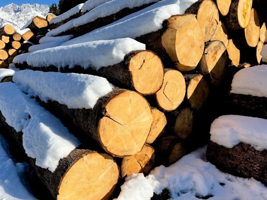 découvrez la pénurie de bûches de noël cette saison et ses impacts sur les célébrations traditionnelles. conseils pour trouver des alternatives et profiter pleinement des fêtes.