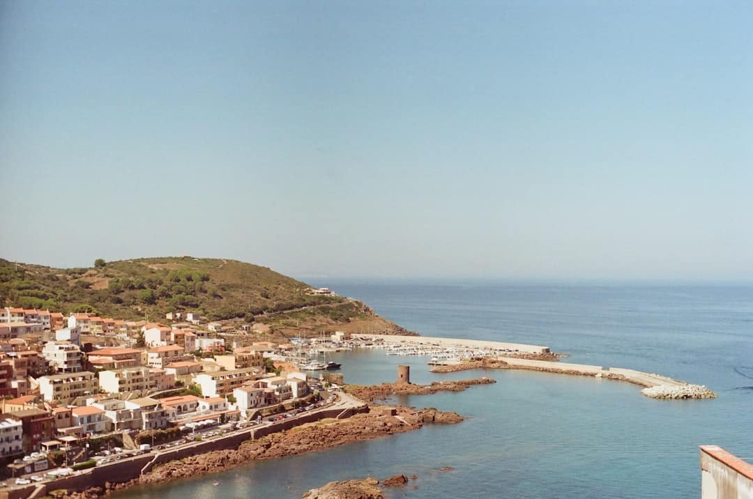 découvrez une fête de noël méditerranéenne unique alliant traditions chaleureuses, saveurs authentiques et ambiance festive typique des pays du bassin méditerranéen.