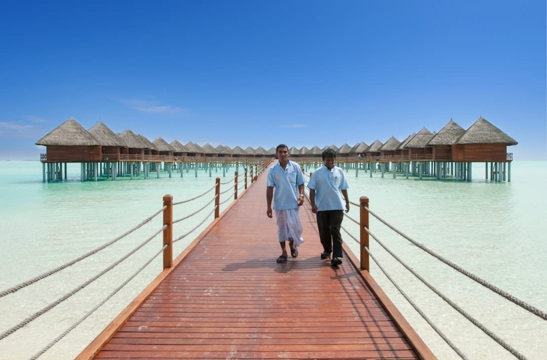 découvrez nos conseils et avantages concernant l'allocation de tourisme pour profiter pleinement de vos voyages en toute sérénité.