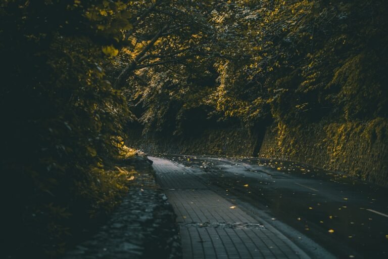 découvrez les astuces et récits inspirants pour les voyageurs aventureux en quête de nouvelles expériences et destinations hors des sentiers battus.