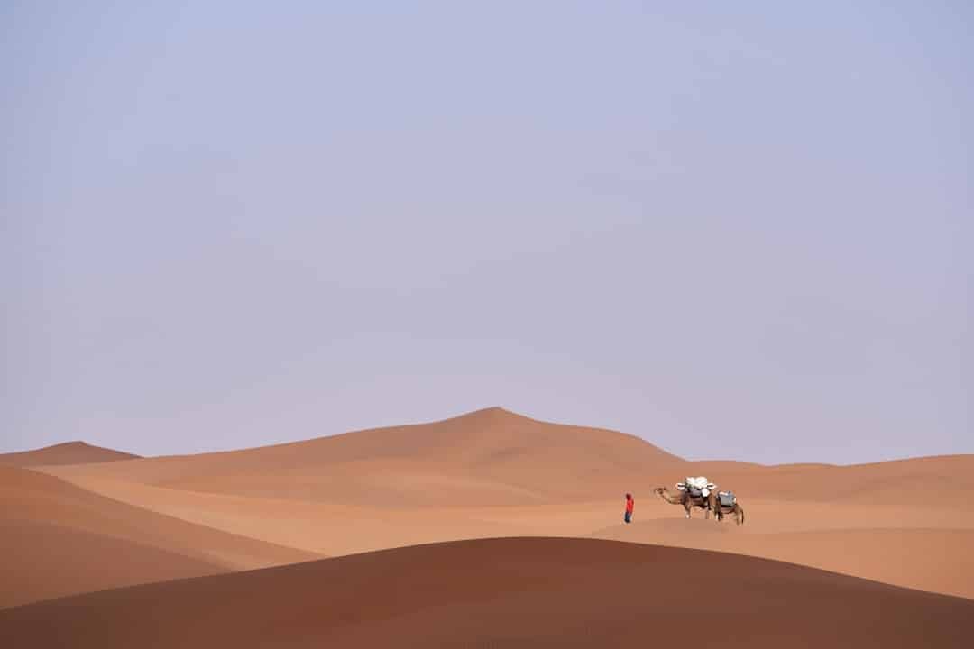 découvrez le visa digital nomad : vivez et travaillez à distance dans un nouveau pays en toute légalité grâce à ce permis spécial adapté aux télétravailleurs.