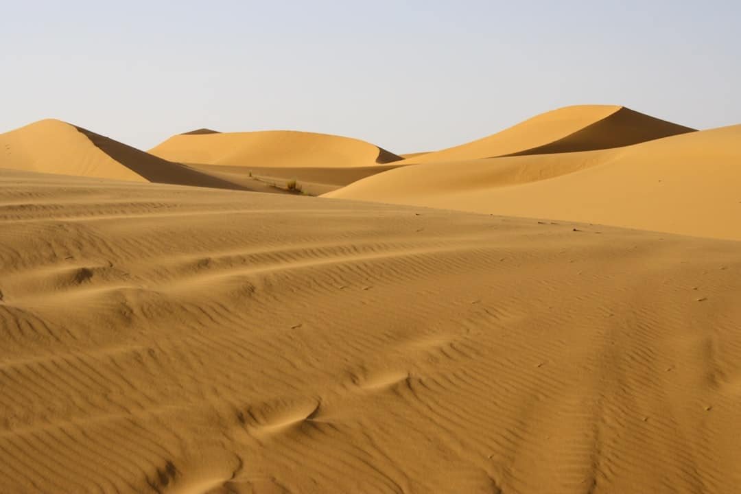 découvrez le sahara, le plus grand désert chaud du monde, avec ses dunes majestueuses, ses oasis mystérieuses et sa riche culture nomade.