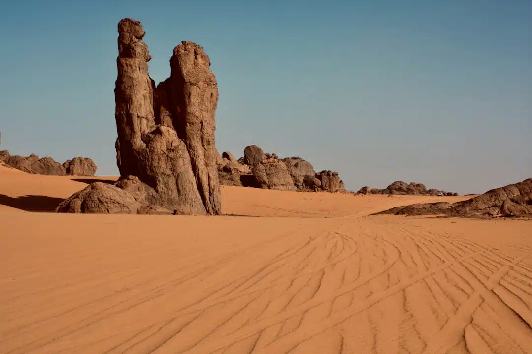 Le sahara, le plus grand désert chaud du monde, ses paysages impressionnants, sa faune unique et sa riche culture nomade.
