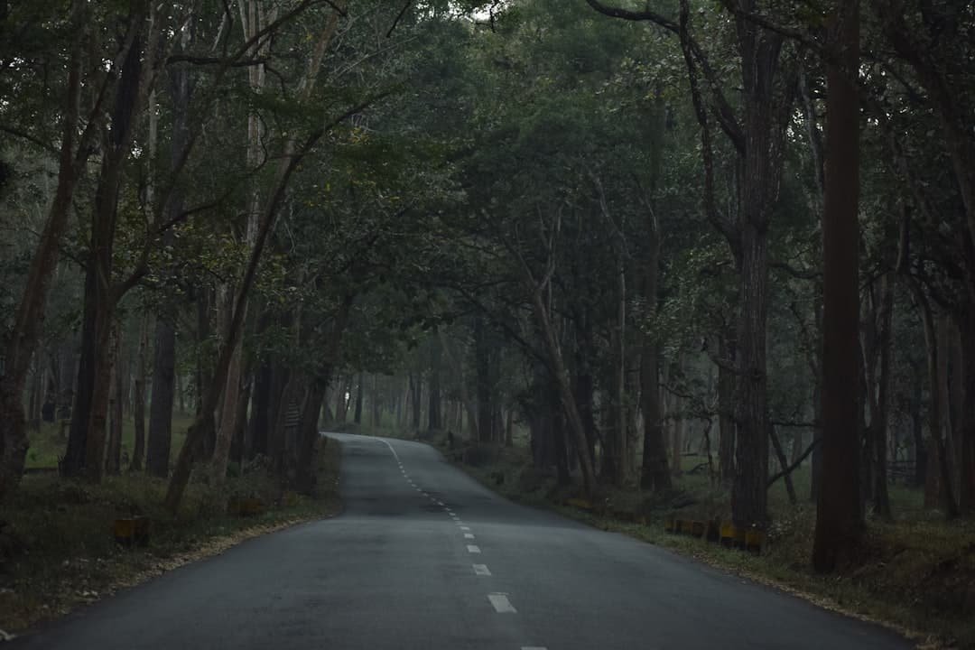 découvrez des traditions routières insolites à travers le monde, alliant culture, histoire et coutumes surprenantes qui rendent chaque trajet unique.