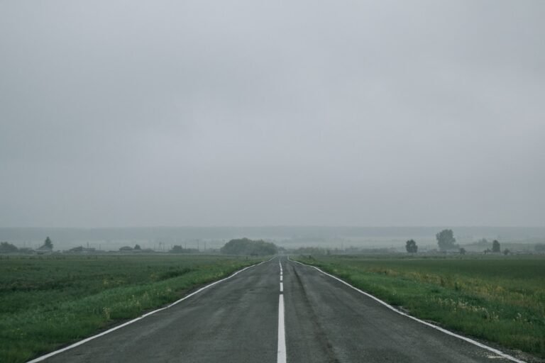 découvrez une tradition routière insolite qui fascine par son originalité et son histoire unique.