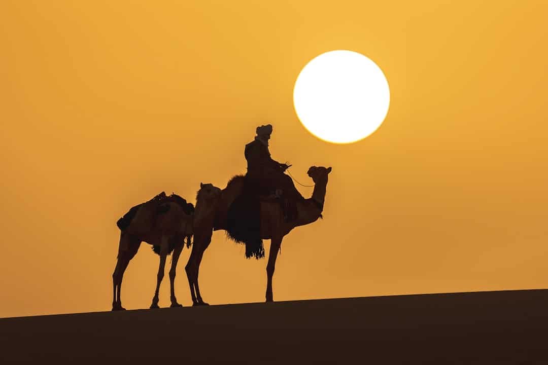 découvrez l'algérie, un pays riche en histoire, culture et paysages variés, de ses majestueuses montagnes du sahara à ses villes dynamiques sur la méditerranée.