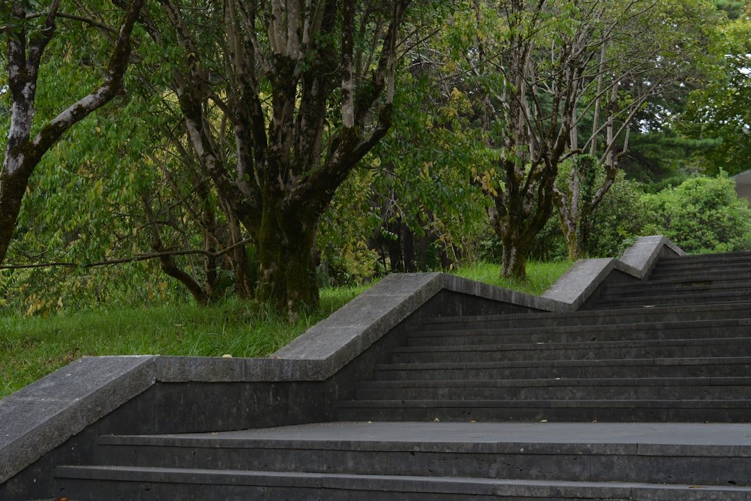 découvrez le rôle essentiel d'un fondateur, son impact dans la création d'entreprise et les qualités clés pour réussir en tant que leader visionnaire.