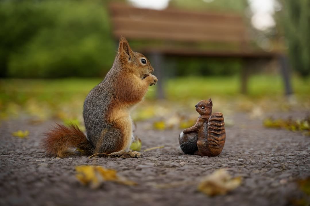 découvrez une rencontre inattendue qui bouleverse le quotidien et révèle des secrets surprenants.