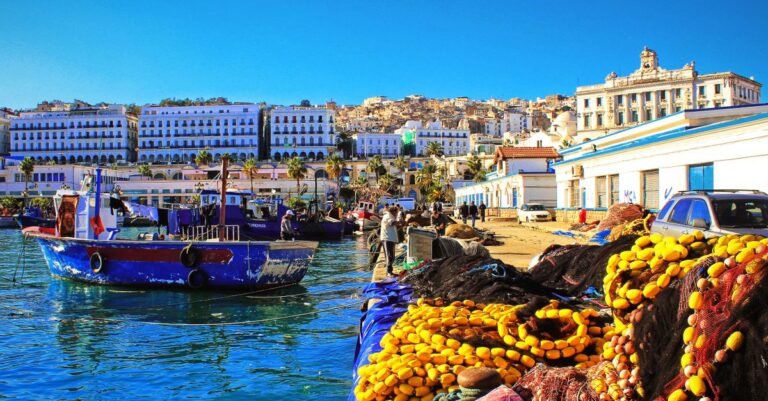 découvrez la rivalité des compagnies de ferries en algérie, ses enjeux économiques et son impact sur le transport maritime entre l'algérie et ses voisins.
