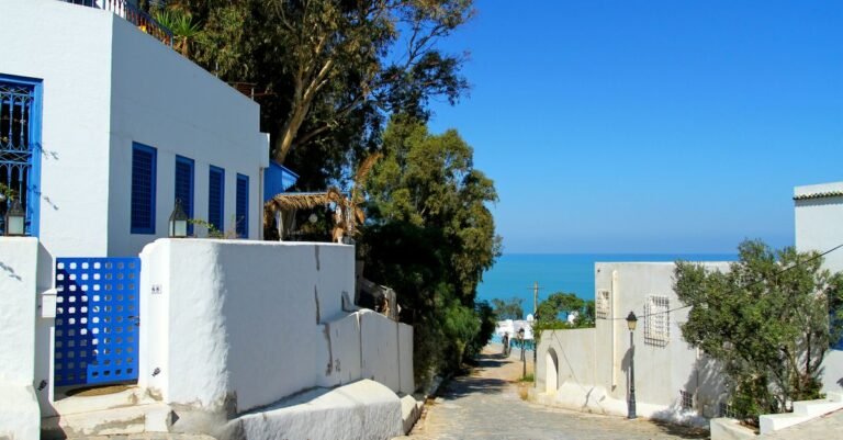 découvrez comment voyager en tunisie avec un budget maîtrisé : conseils, astuces et informations pour profiter pleinement de votre séjour sans vous ruiner.