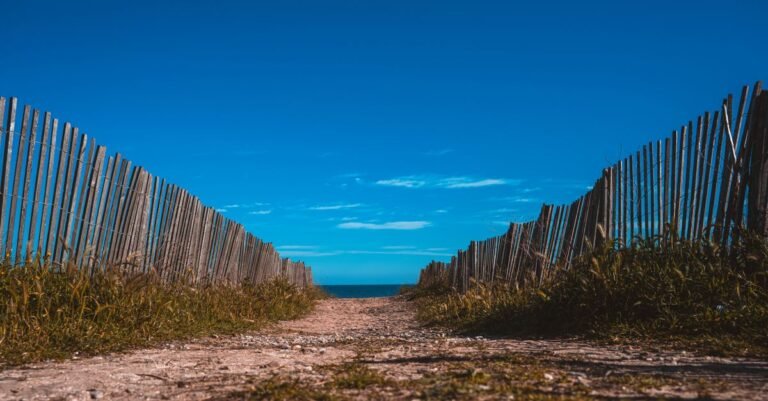 découvrez les meilleures plages et accédez facilement au bord de mer pour des moments de détente inoubliables.