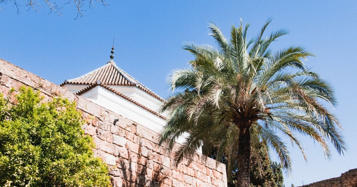 découvrez l'expérience unique de l'hôtel alcazar à tlemcen, alliant confort moderne et charme authentique pour un séjour inoubliable.