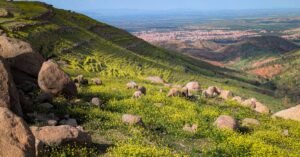 découvrez l'algérie, un pays riche en histoire, culture et paysages diversifiés, des dunes du sahara aux montagnes de l'atlas.